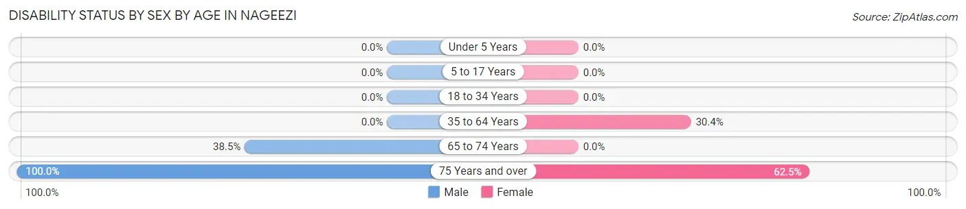 Disability Status by Sex by Age in Nageezi