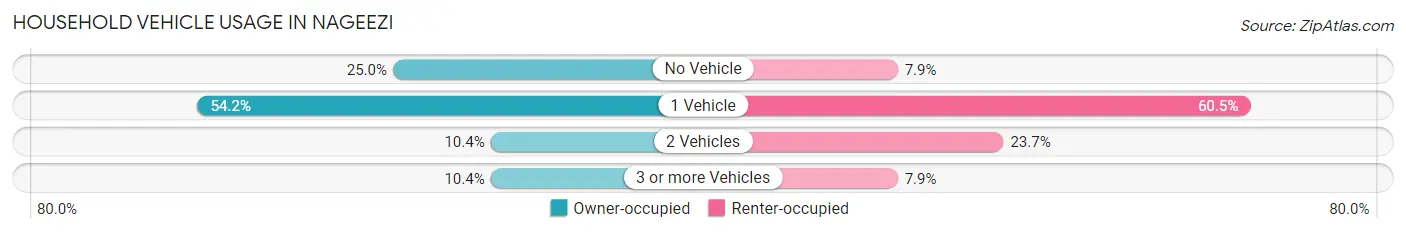 Household Vehicle Usage in Nageezi