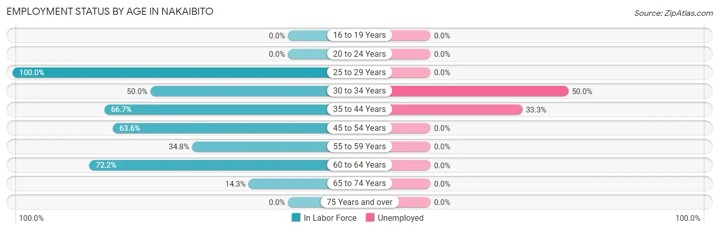 Employment Status by Age in Nakaibito