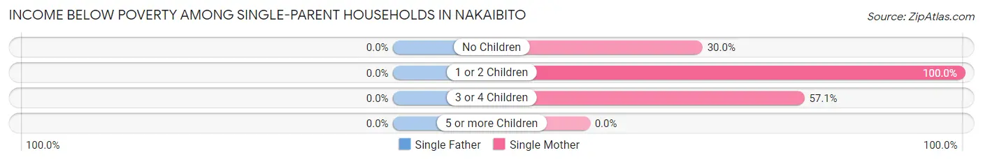 Income Below Poverty Among Single-Parent Households in Nakaibito