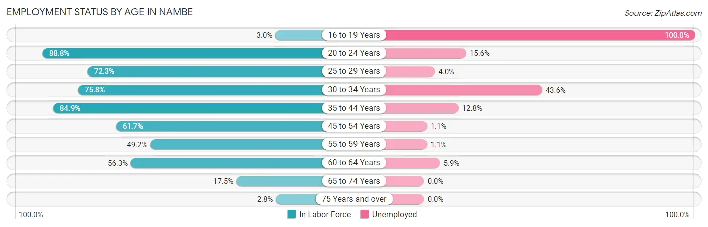 Employment Status by Age in Nambe