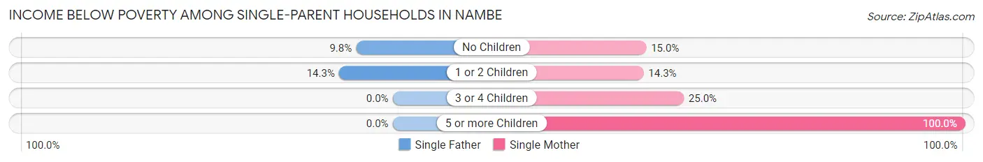 Income Below Poverty Among Single-Parent Households in Nambe