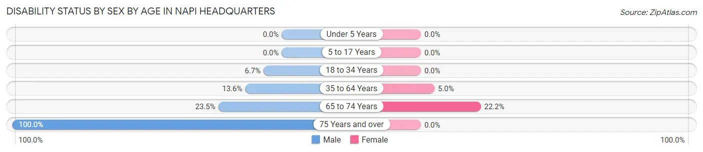Disability Status by Sex by Age in Napi Headquarters