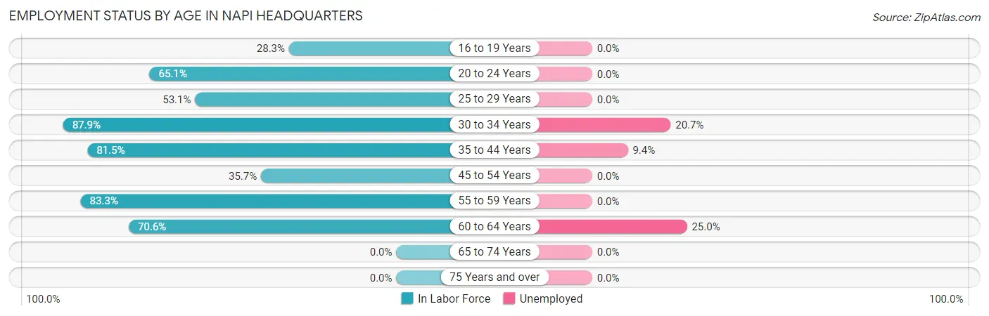 Employment Status by Age in Napi Headquarters