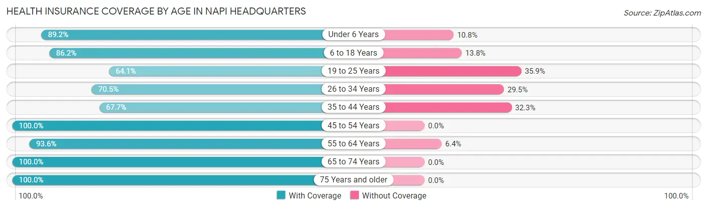 Health Insurance Coverage by Age in Napi Headquarters