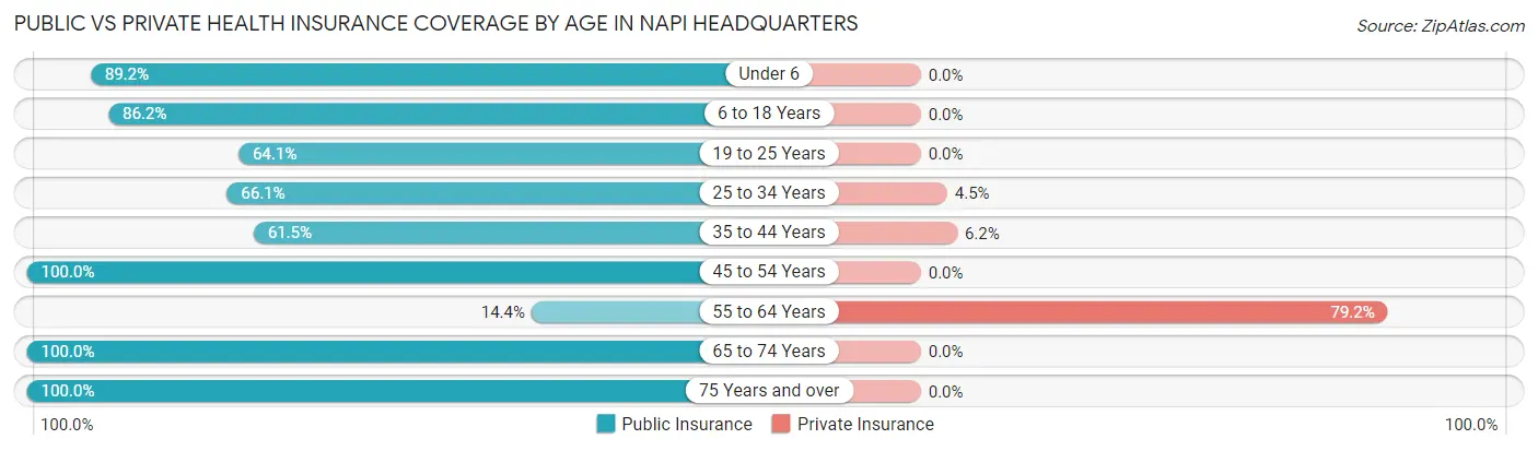 Public vs Private Health Insurance Coverage by Age in Napi Headquarters