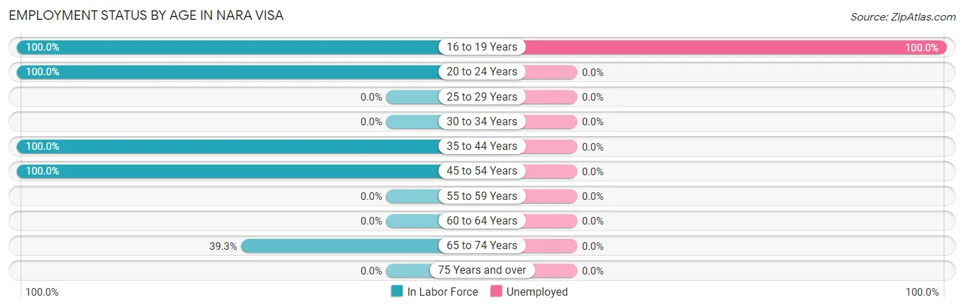 Employment Status by Age in Nara Visa