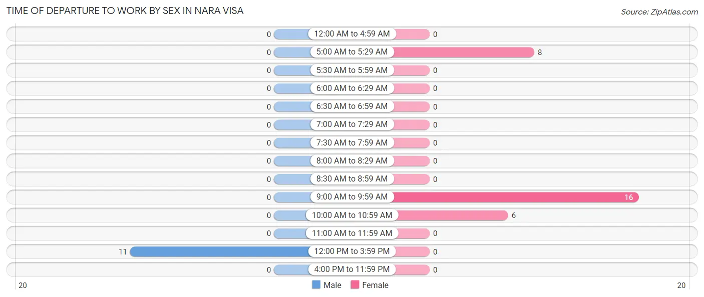Time of Departure to Work by Sex in Nara Visa
