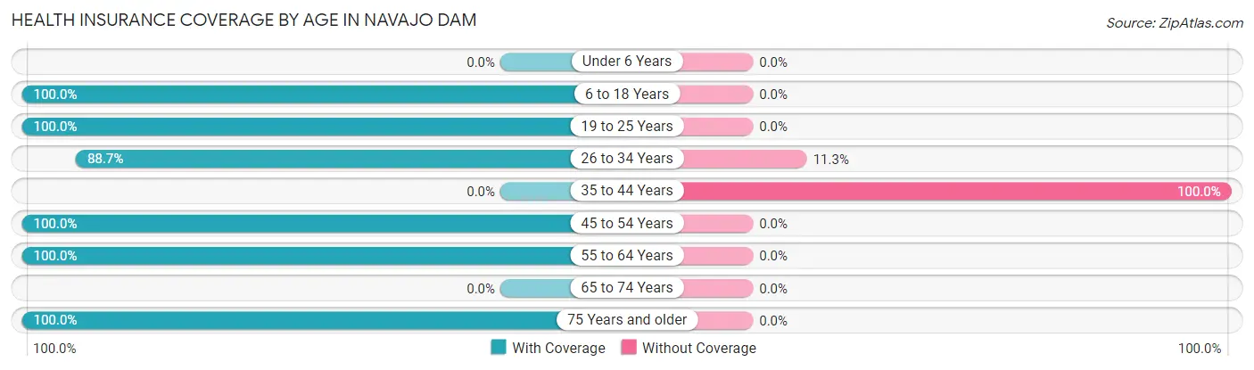 Health Insurance Coverage by Age in Navajo Dam