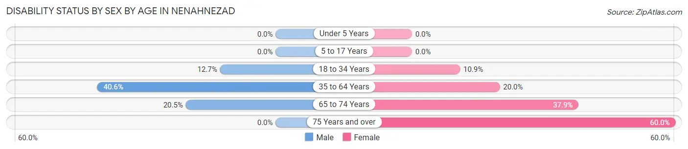 Disability Status by Sex by Age in Nenahnezad