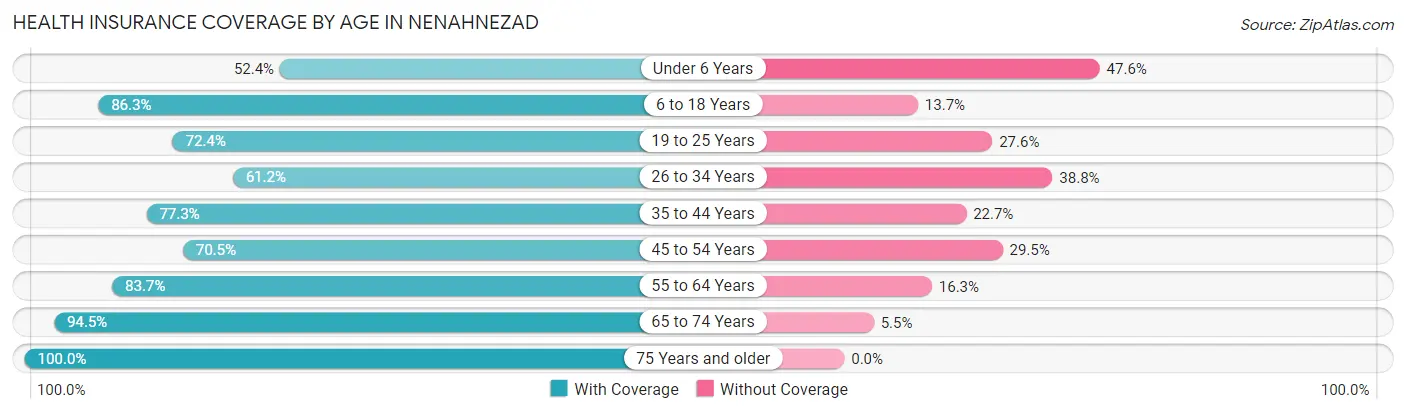 Health Insurance Coverage by Age in Nenahnezad