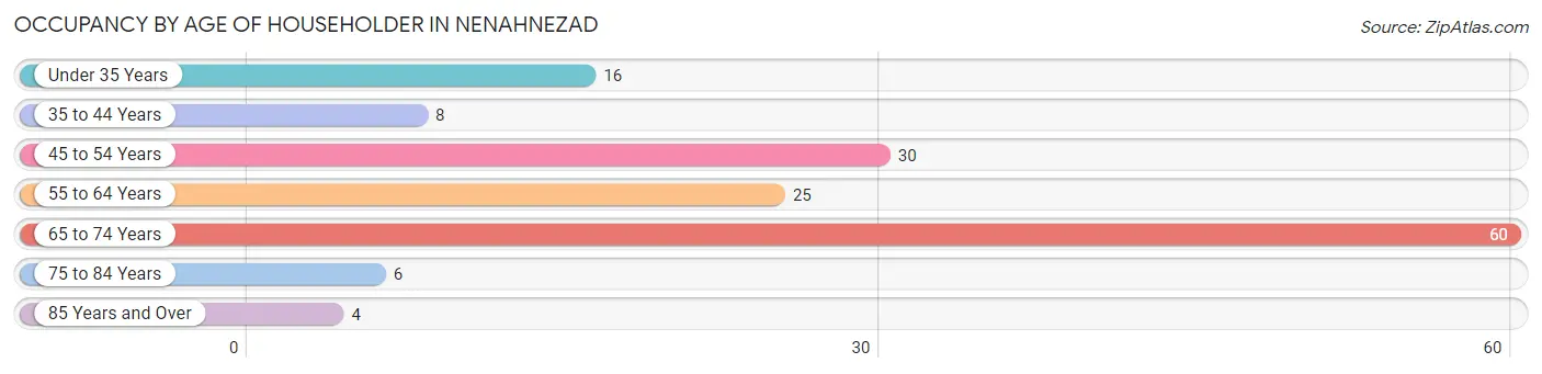 Occupancy by Age of Householder in Nenahnezad