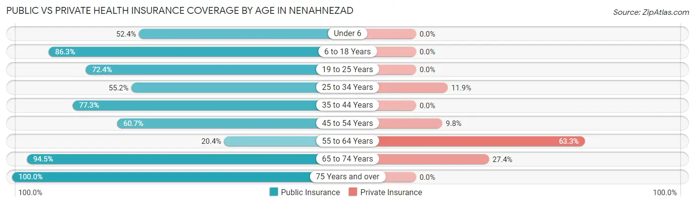 Public vs Private Health Insurance Coverage by Age in Nenahnezad