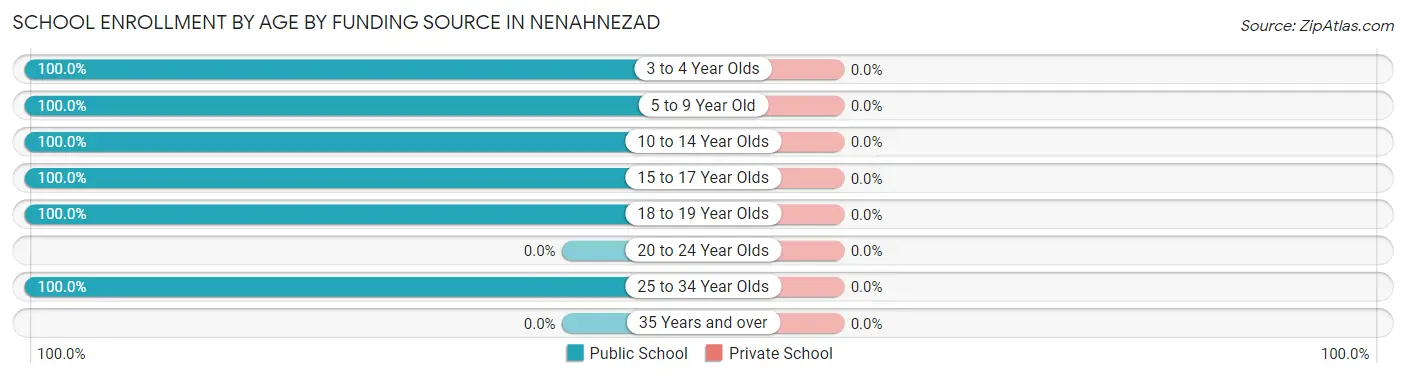 School Enrollment by Age by Funding Source in Nenahnezad