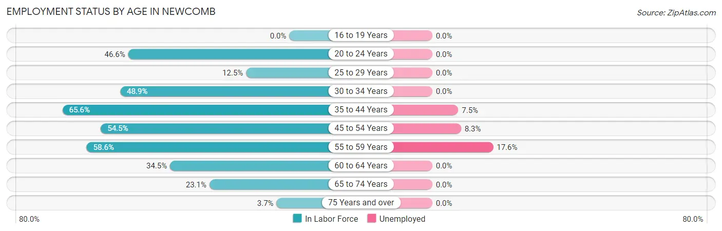 Employment Status by Age in Newcomb