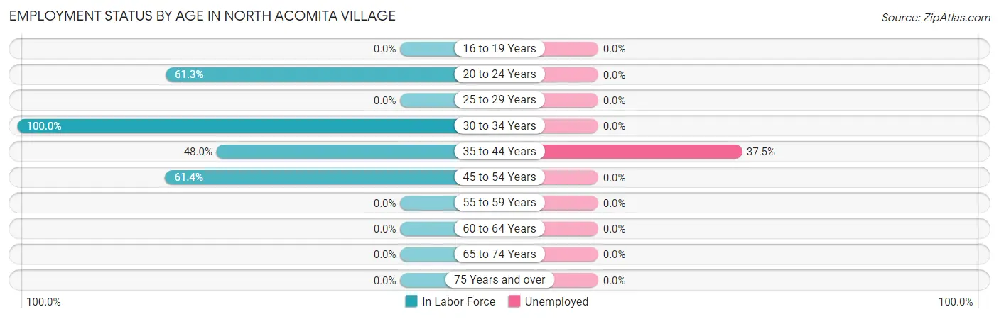 Employment Status by Age in North Acomita Village