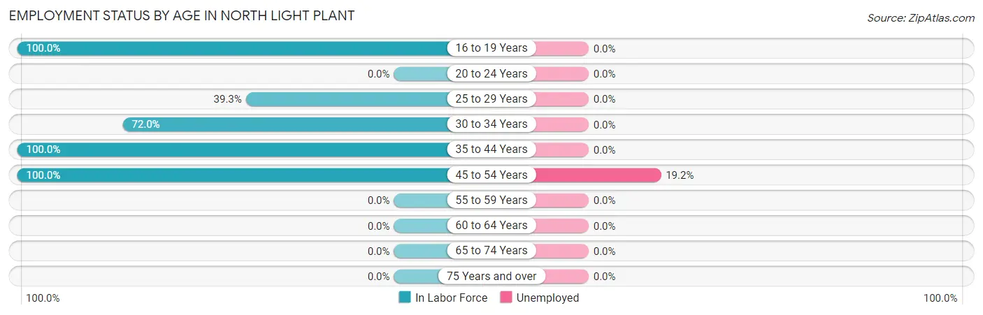 Employment Status by Age in North Light Plant