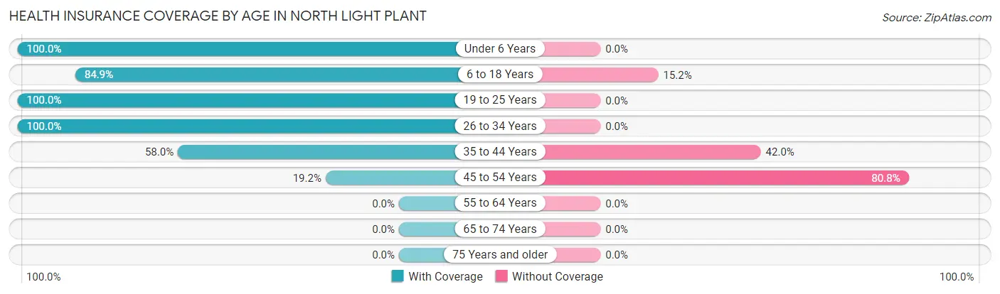 Health Insurance Coverage by Age in North Light Plant