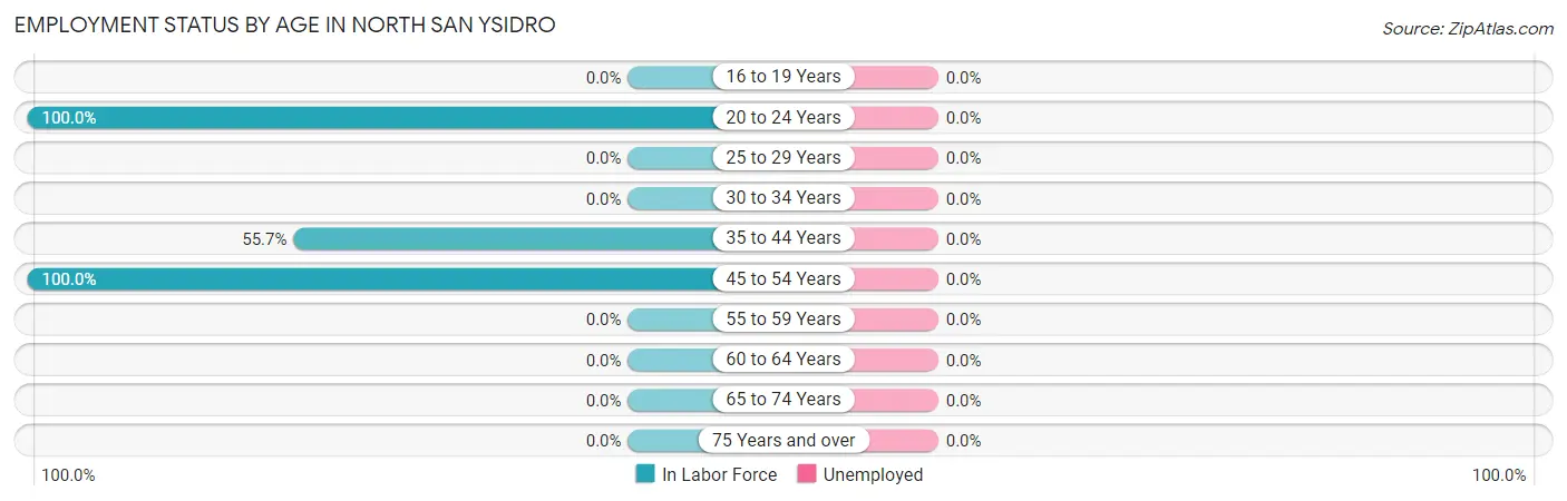 Employment Status by Age in North San Ysidro
