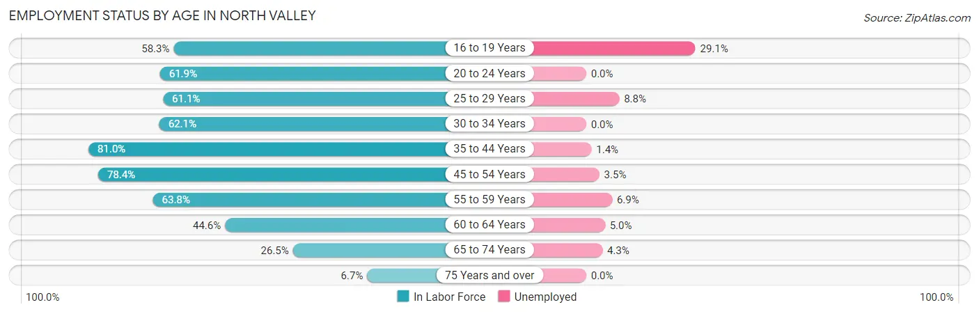 Employment Status by Age in North Valley