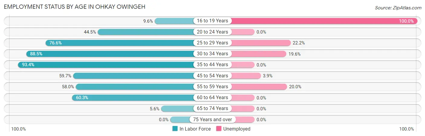 Employment Status by Age in Ohkay Owingeh