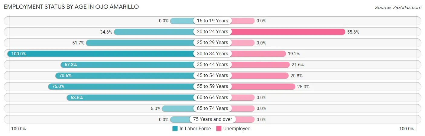 Employment Status by Age in Ojo Amarillo