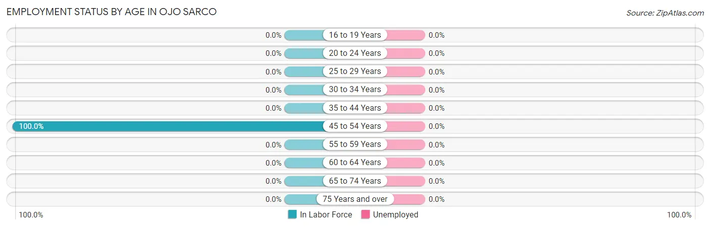 Employment Status by Age in Ojo Sarco