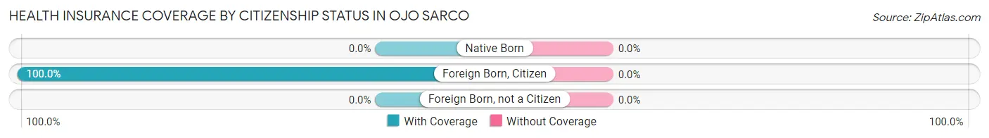 Health Insurance Coverage by Citizenship Status in Ojo Sarco