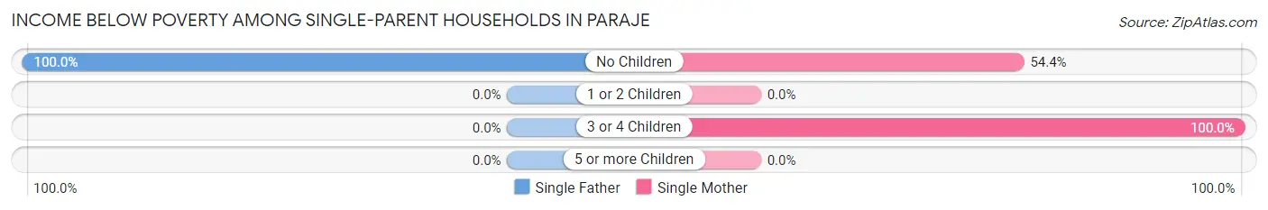 Income Below Poverty Among Single-Parent Households in Paraje