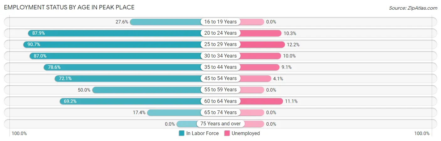 Employment Status by Age in Peak Place