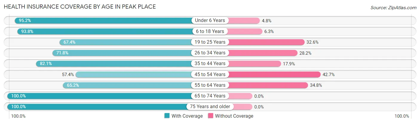 Health Insurance Coverage by Age in Peak Place