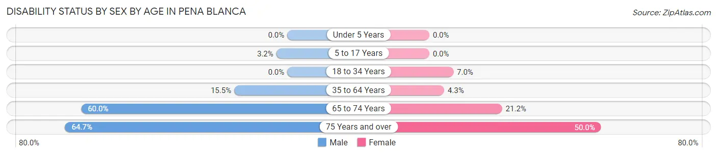 Disability Status by Sex by Age in Pena Blanca