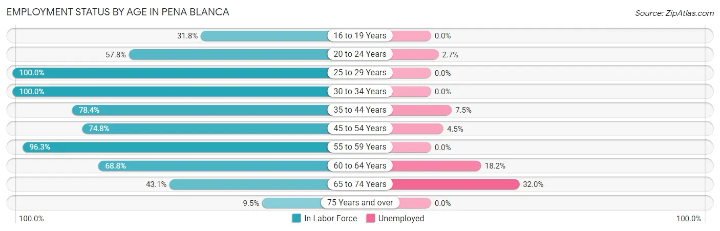 Employment Status by Age in Pena Blanca