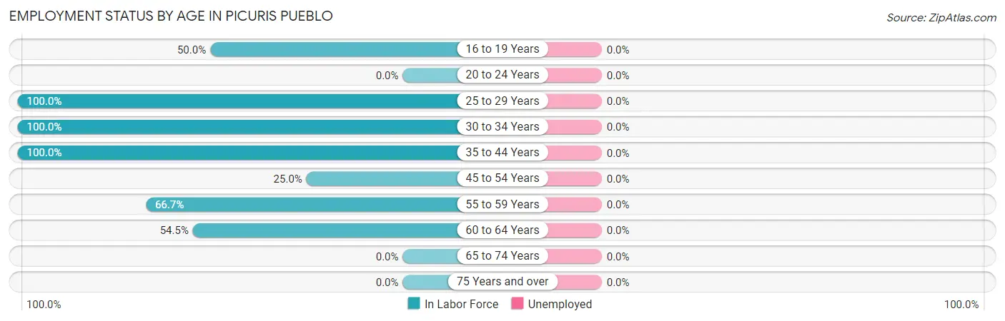 Employment Status by Age in Picuris Pueblo