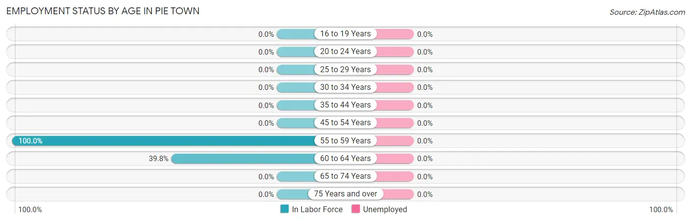 Employment Status by Age in Pie Town