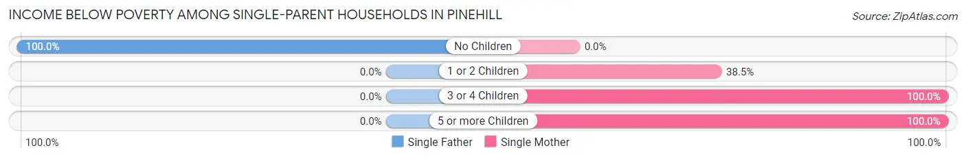 Income Below Poverty Among Single-Parent Households in Pinehill