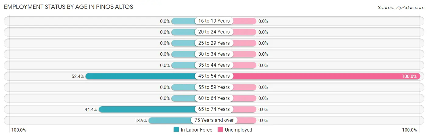 Employment Status by Age in Pinos Altos