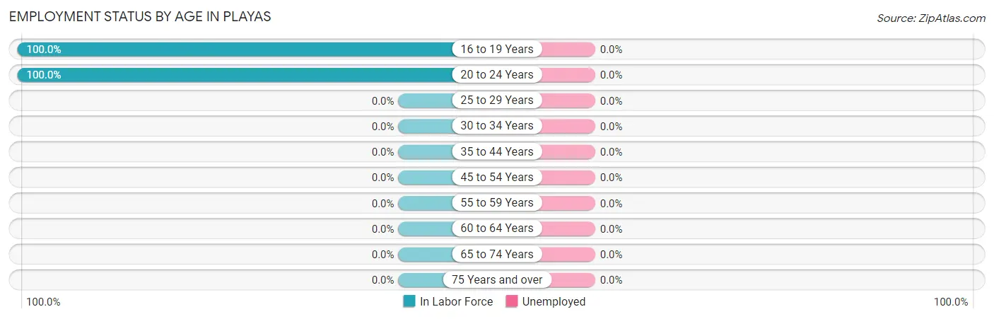 Employment Status by Age in Playas