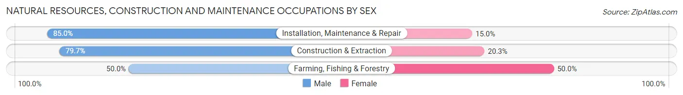 Natural Resources, Construction and Maintenance Occupations by Sex in Pojoaque