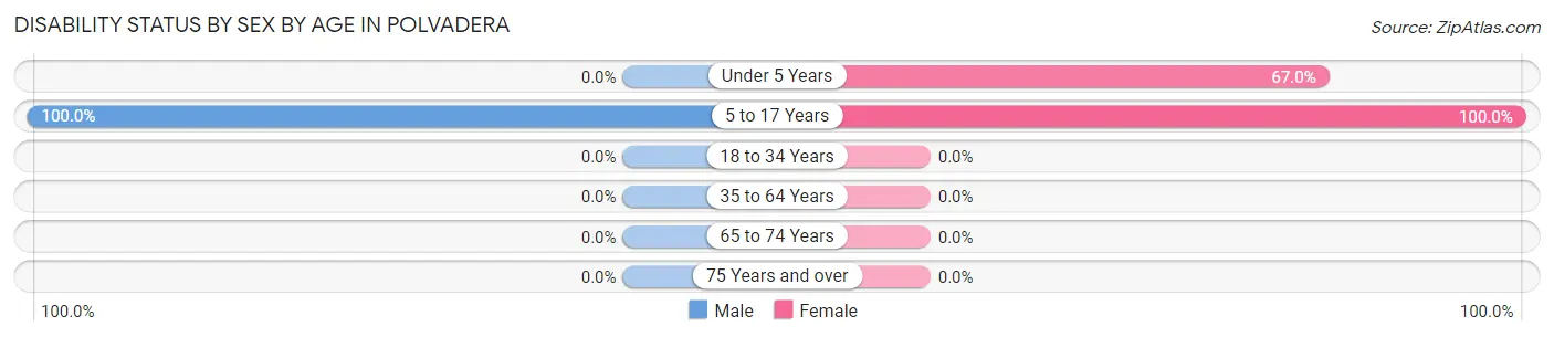 Disability Status by Sex by Age in Polvadera