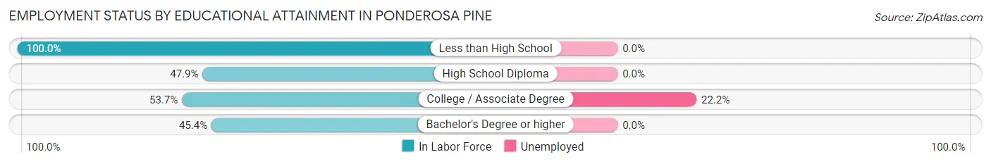 Employment Status by Educational Attainment in Ponderosa Pine