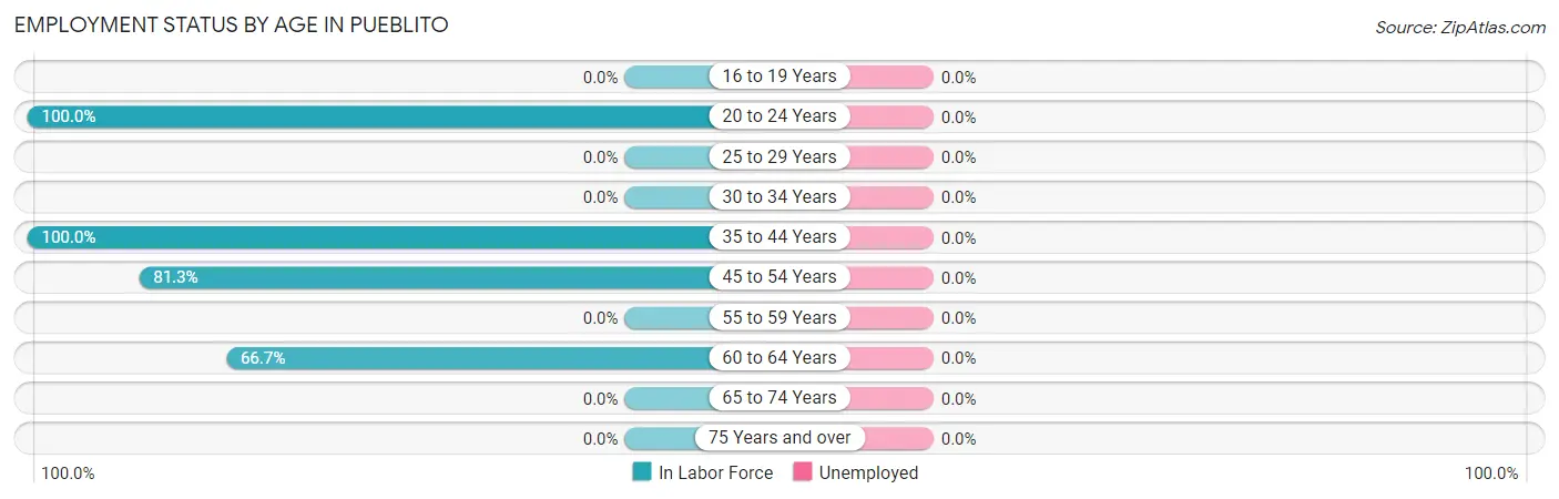 Employment Status by Age in Pueblito