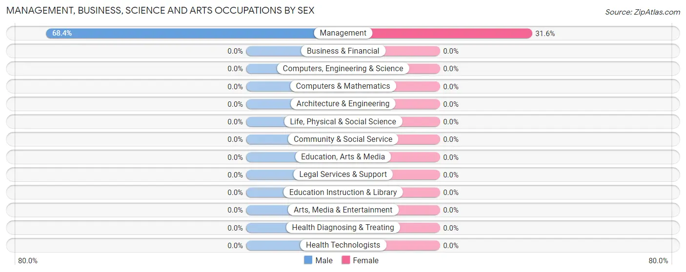 Management, Business, Science and Arts Occupations by Sex in Pueblito