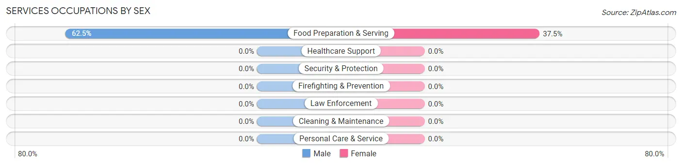Services Occupations by Sex in Pueblito