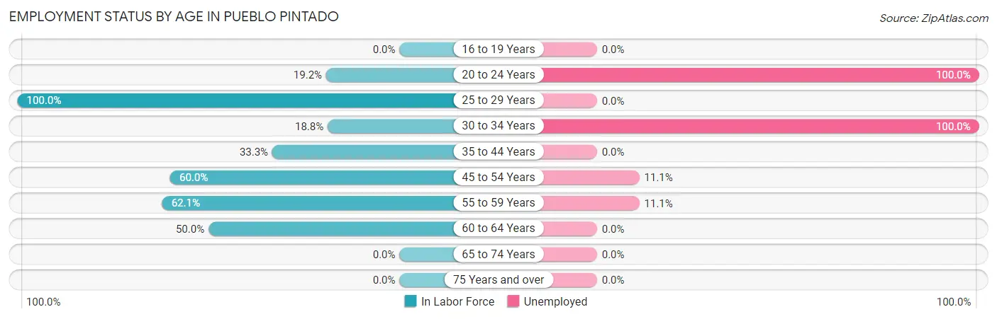 Employment Status by Age in Pueblo Pintado