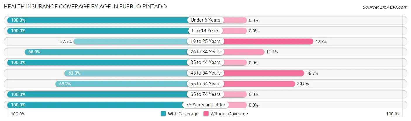 Health Insurance Coverage by Age in Pueblo Pintado