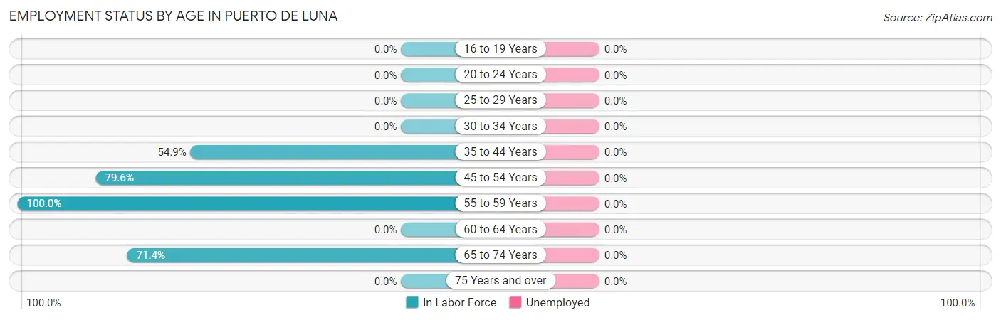 Employment Status by Age in Puerto de Luna