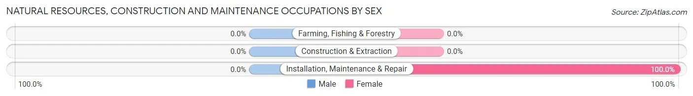 Natural Resources, Construction and Maintenance Occupations by Sex in Puerto de Luna