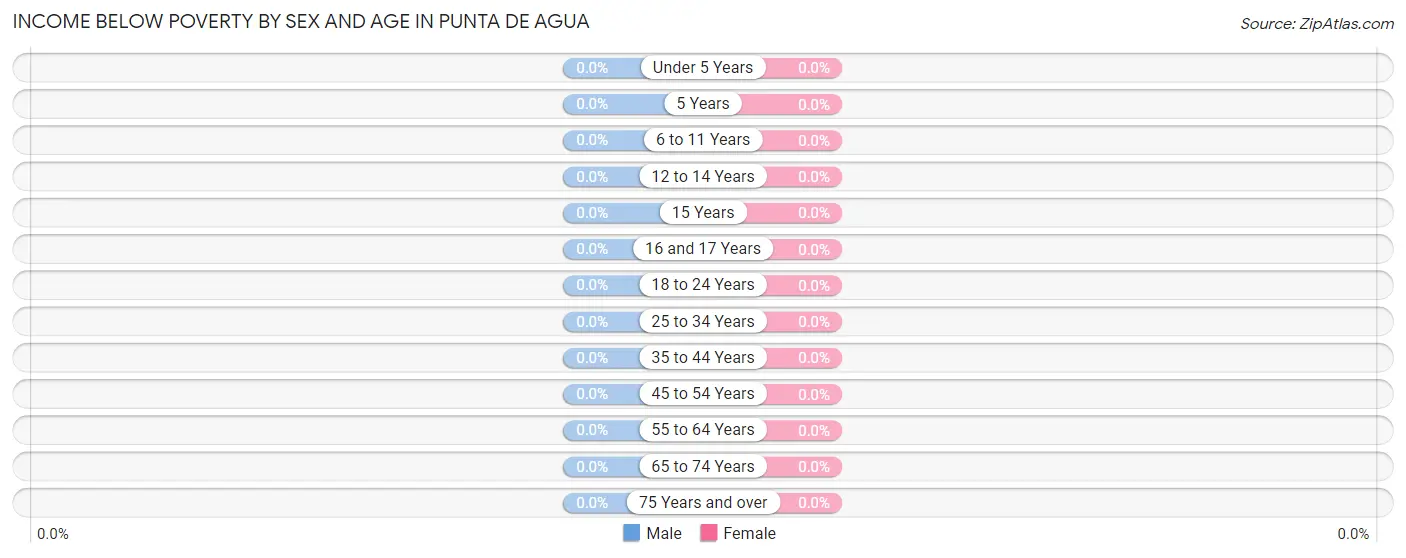 Income Below Poverty by Sex and Age in Punta de Agua