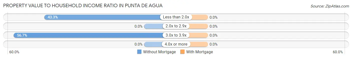 Property Value to Household Income Ratio in Punta de Agua